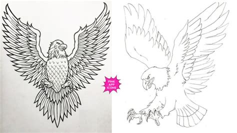 philippine eagle drawing|20+ Easy Philippine Eagle Drawing Ideas with Color.